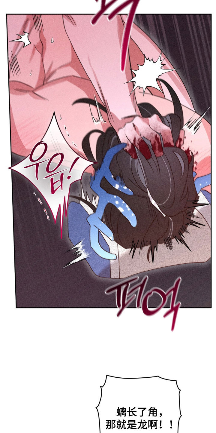 最后的龙雨漫画,第32章：成为龙2图
