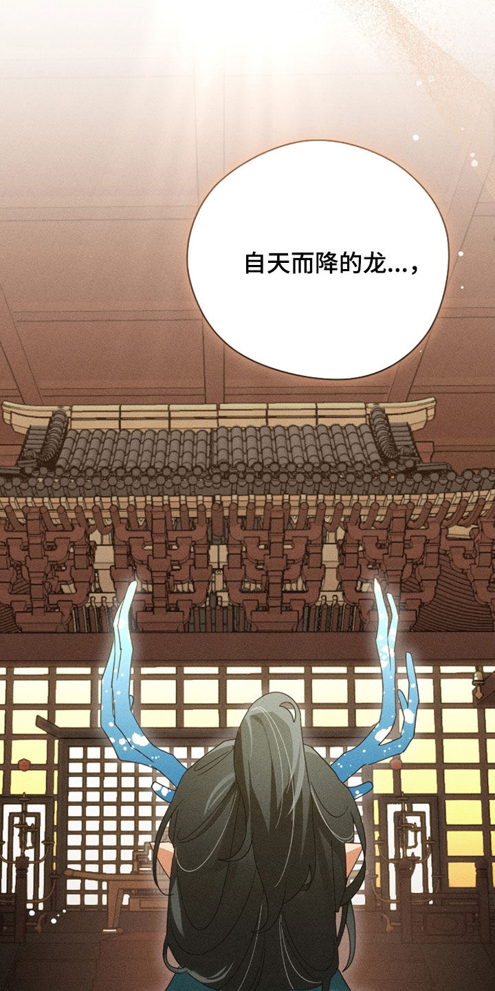 最后的龙雨漫画,第33章：天意2图