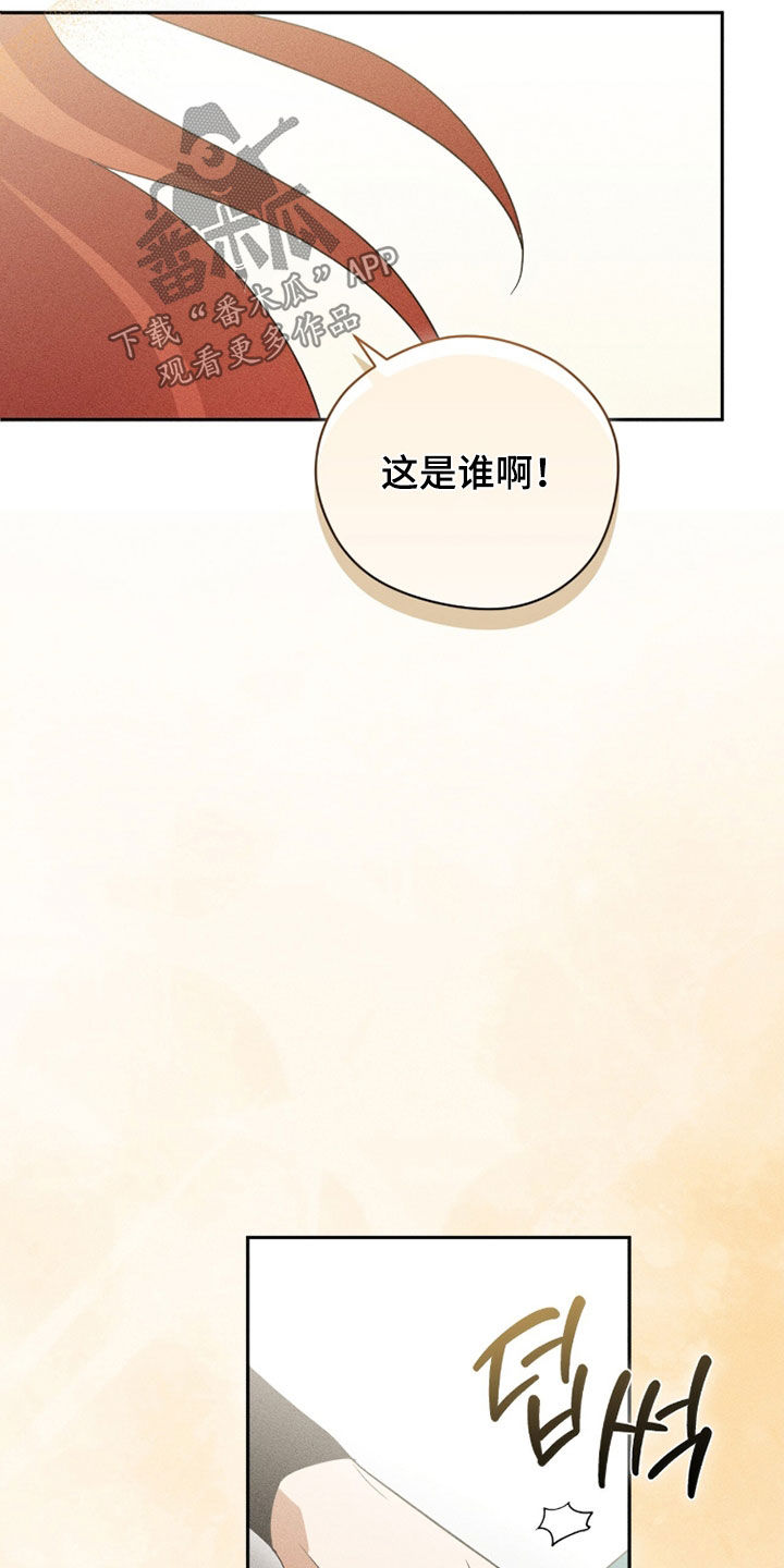 最后的龙雨漫画,第34章：兄弟1图