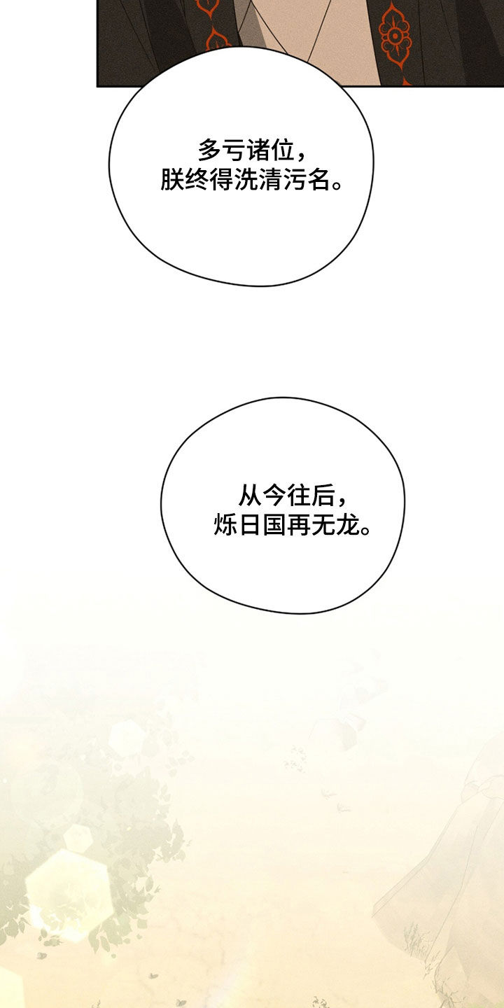 最后的龙雨漫画,第33章：天意2图