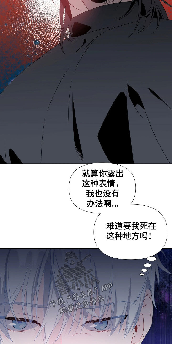 底牌与谎言漫画,第12章：受人摆布5图