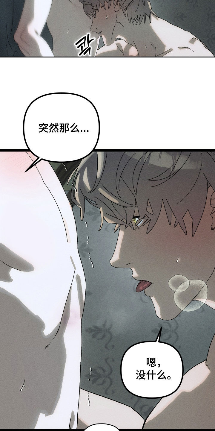 窥秘者漫画,第18章：够了2图