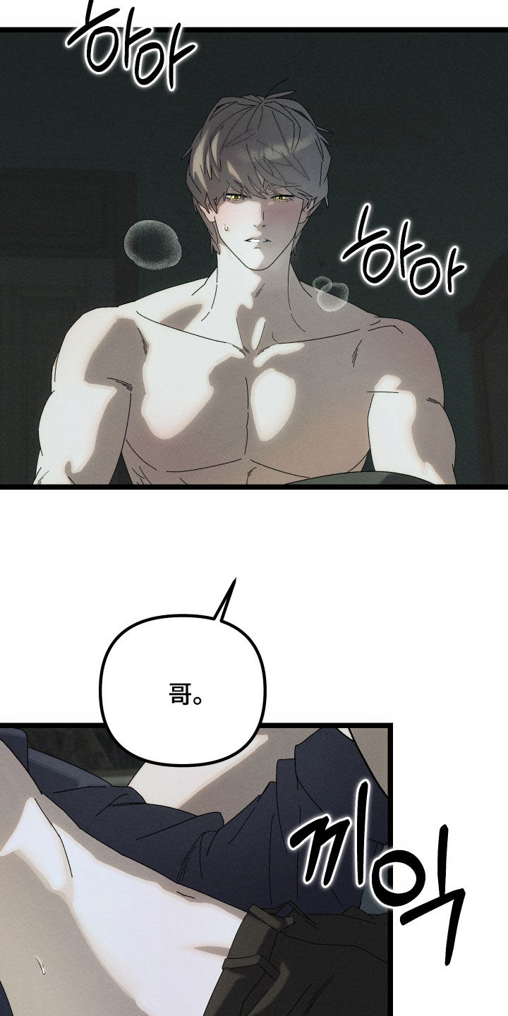 窥秘者漫画,第17章：相信的只有哥1图