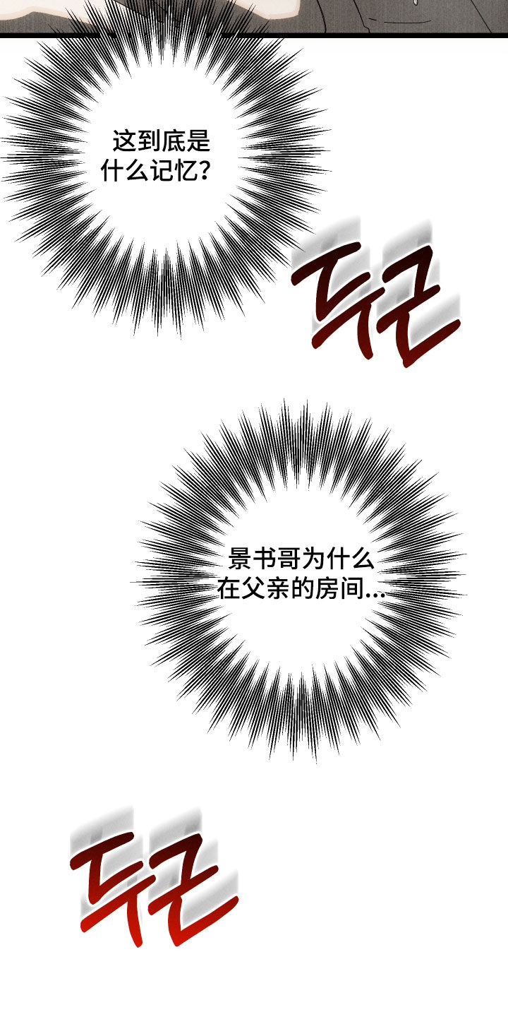 窥秘者漫画,第19章：记忆2图