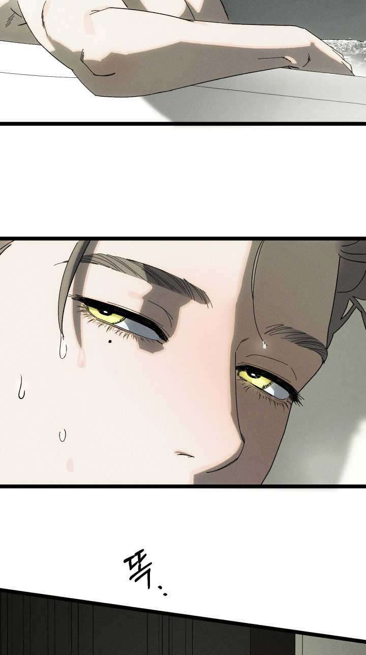 窥秘者漫画,第19章：记忆5图