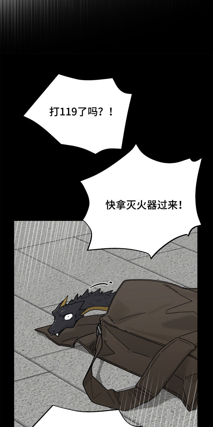 前世的恋爱债漫画,第19章：龙2图