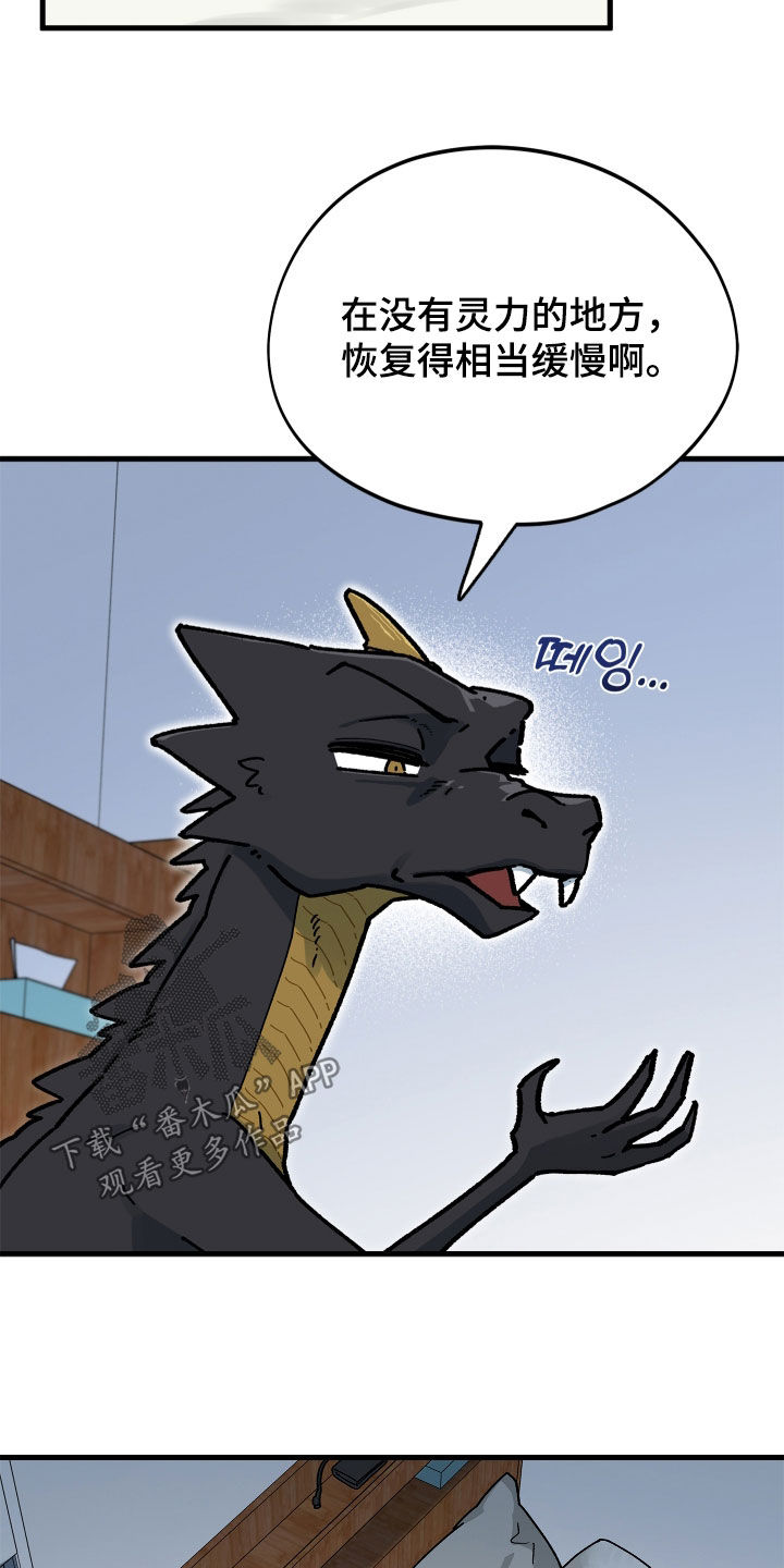 前世的恋爱债漫画,第19章：龙3图