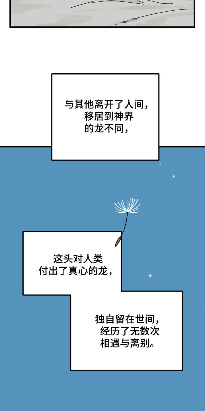 前世的恋爱债漫画,第19章：龙1图