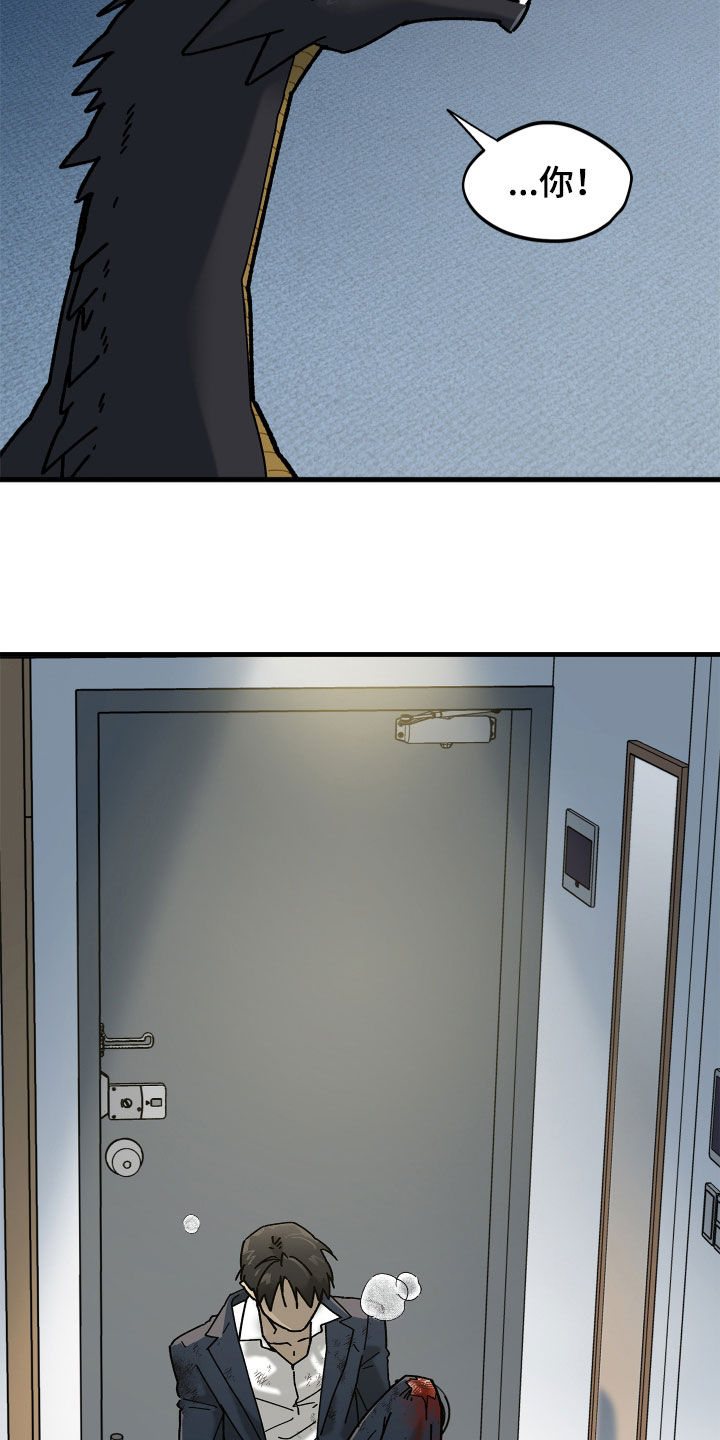前世的恋爱债漫画,第19章：龙5图