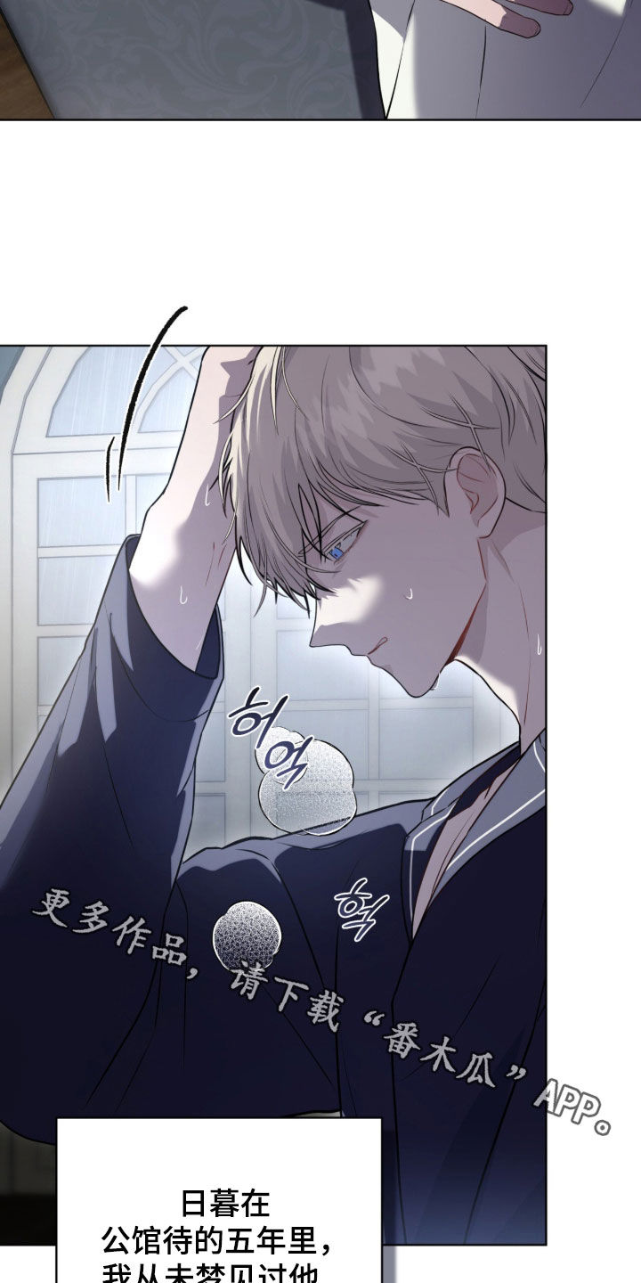 雨中的答案漫画,第18章：从未梦见3图