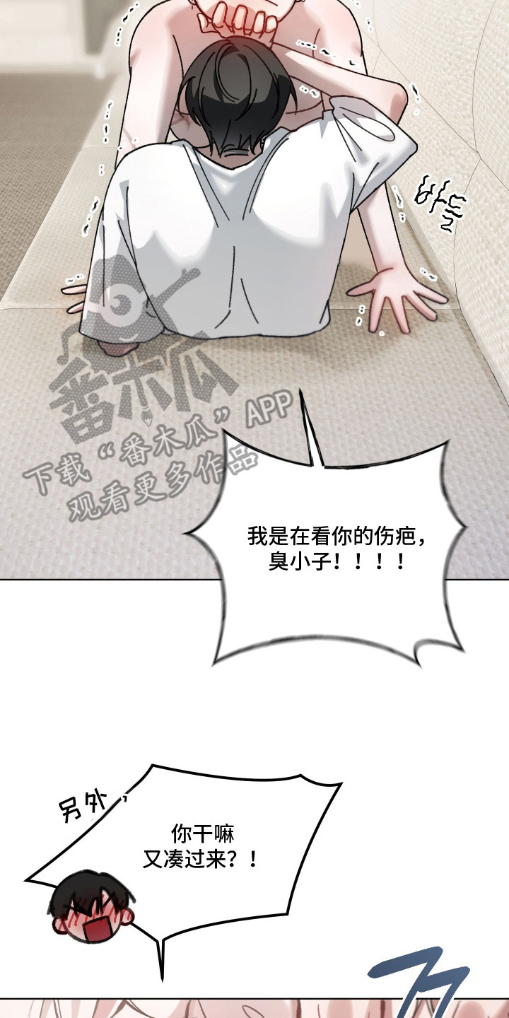第14章：伤疤4