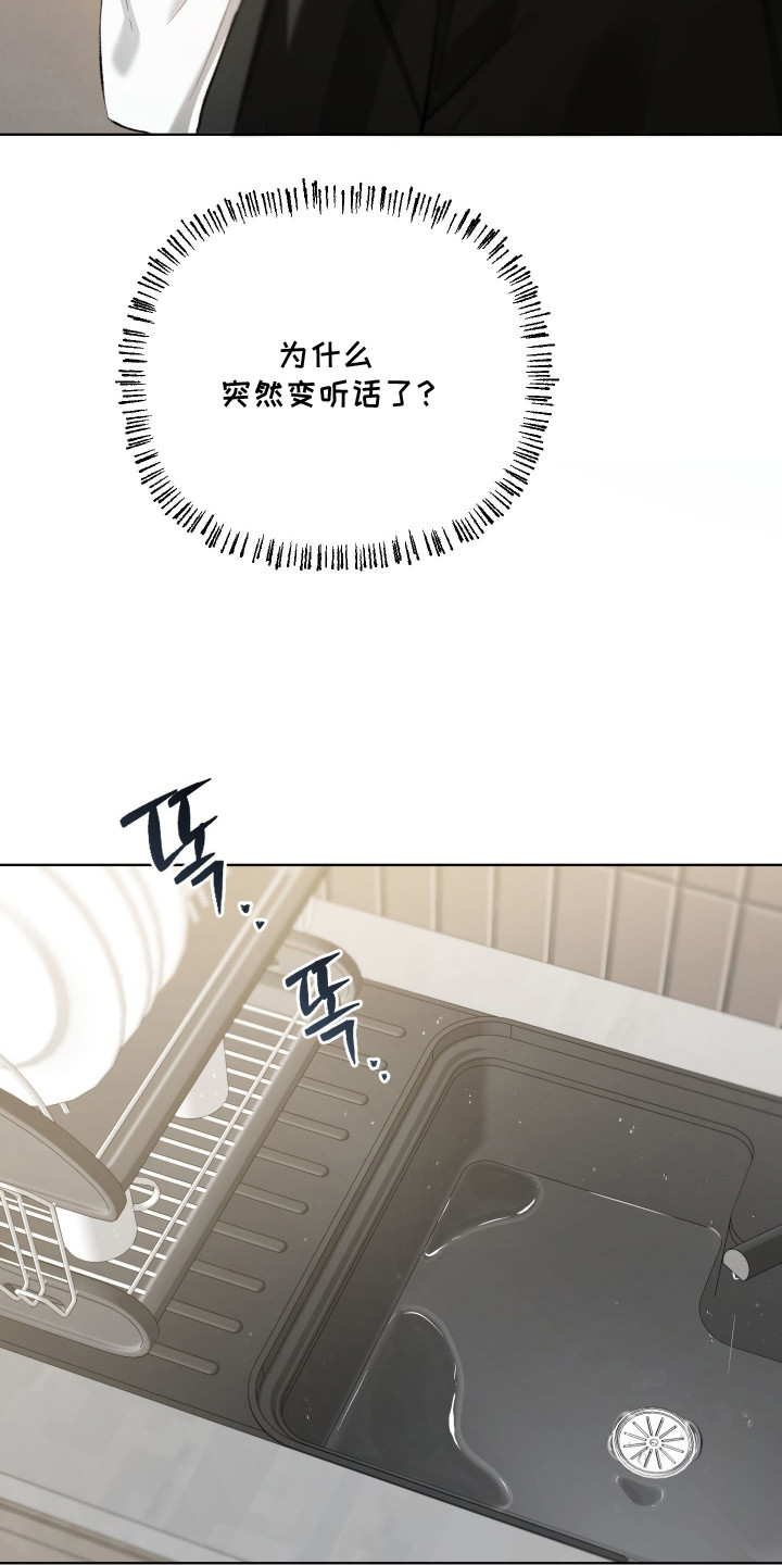 洁癖向导与变态哨兵漫画,第13章：听话多了1图