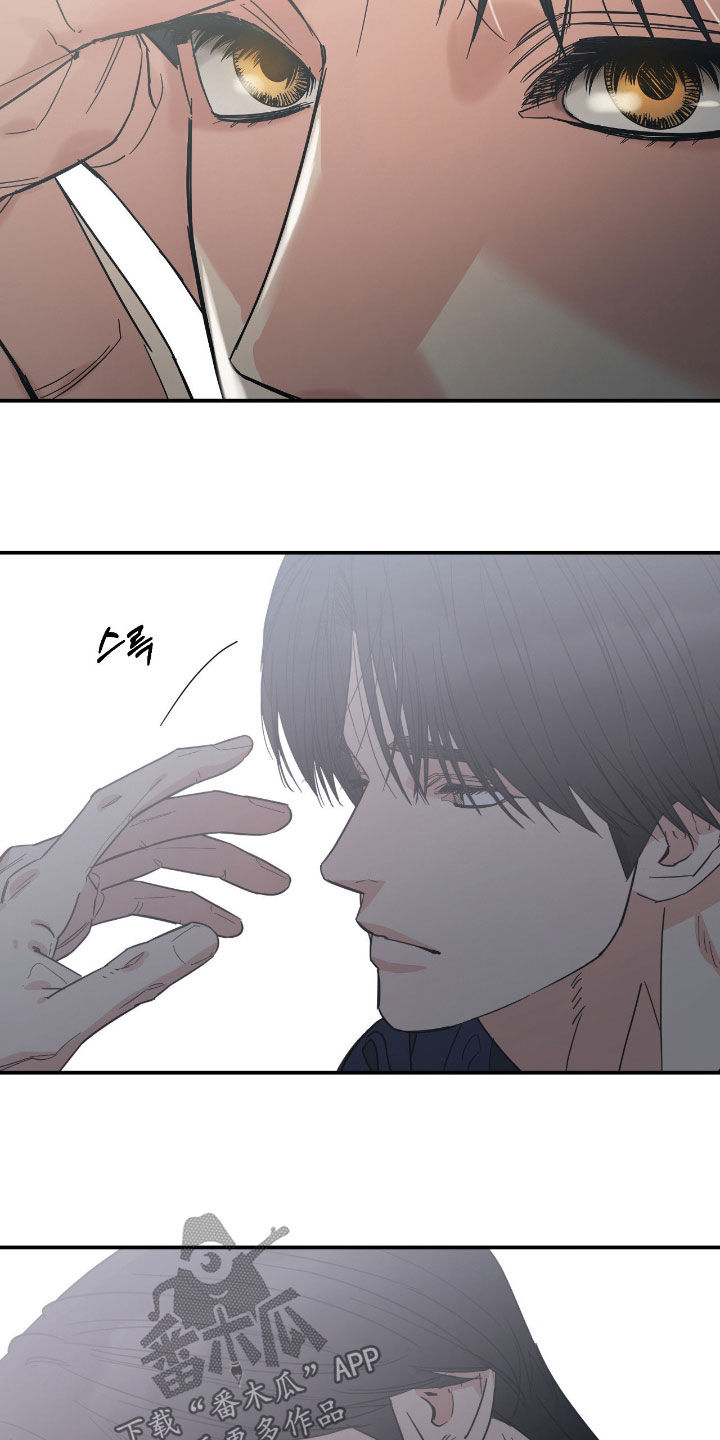 猫大爷和我漫画,第19章：我们慢慢来吧3图