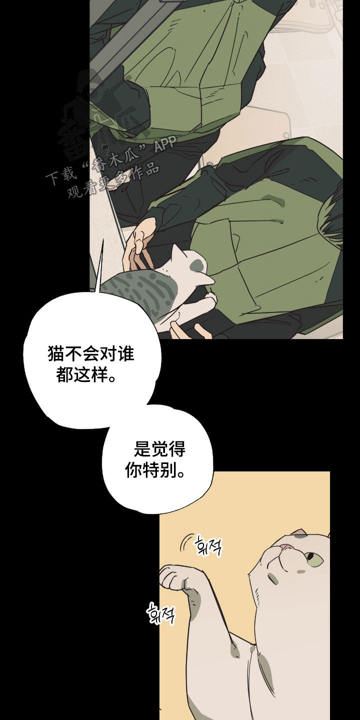 猫大爷和我漫画,第18章：说错话了1图