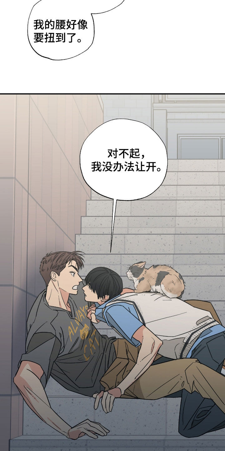 猫大爷和我漫画,第15章：下定决心5图