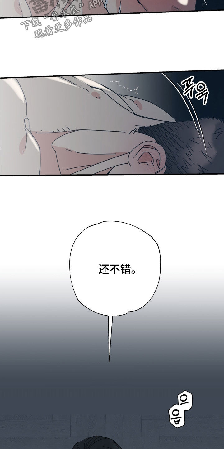 猫大爷和我漫画,第17章：希望是你3图