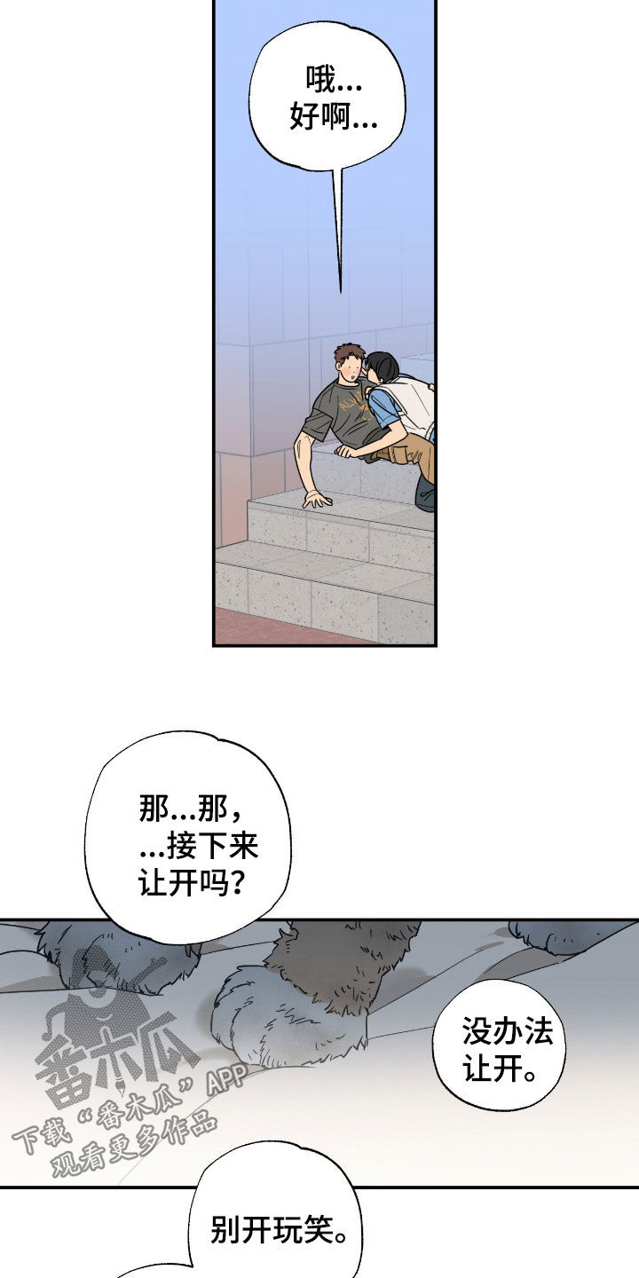 猫大爷和我漫画,第15章：下定决心4图