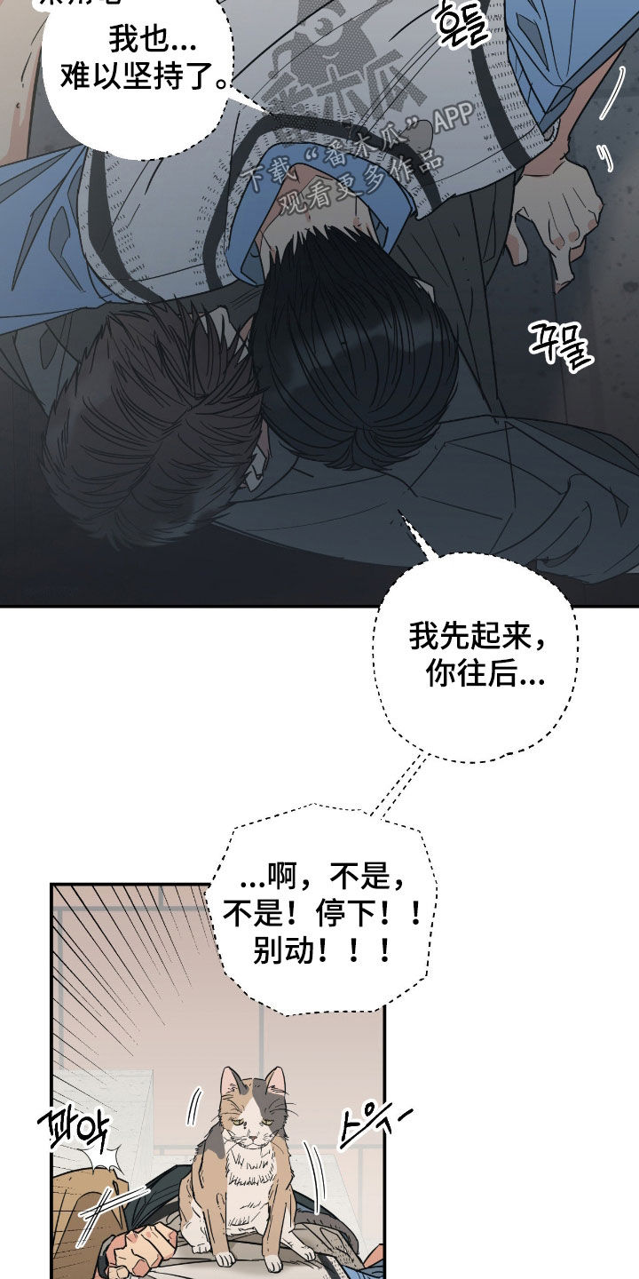 猫大爷和我漫画,第15章：下定决心2图
