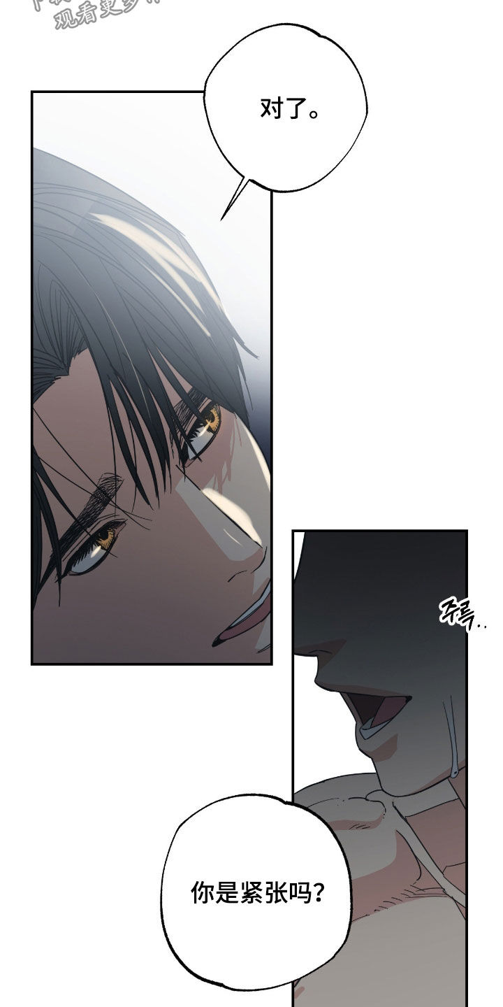 猫大爷和我漫画,第17章：希望是你4图