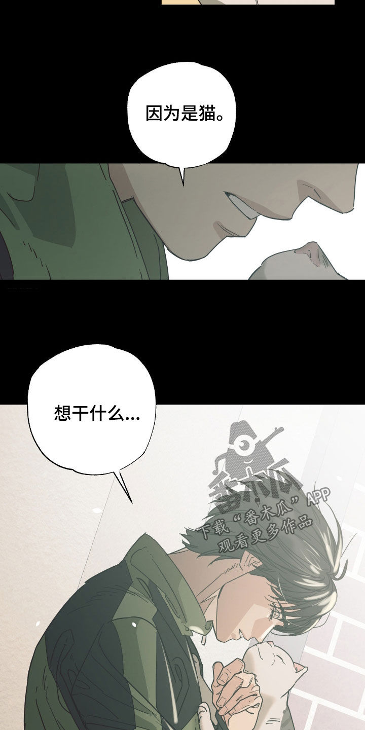 猫大爷和我漫画,第18章：说错话了2图