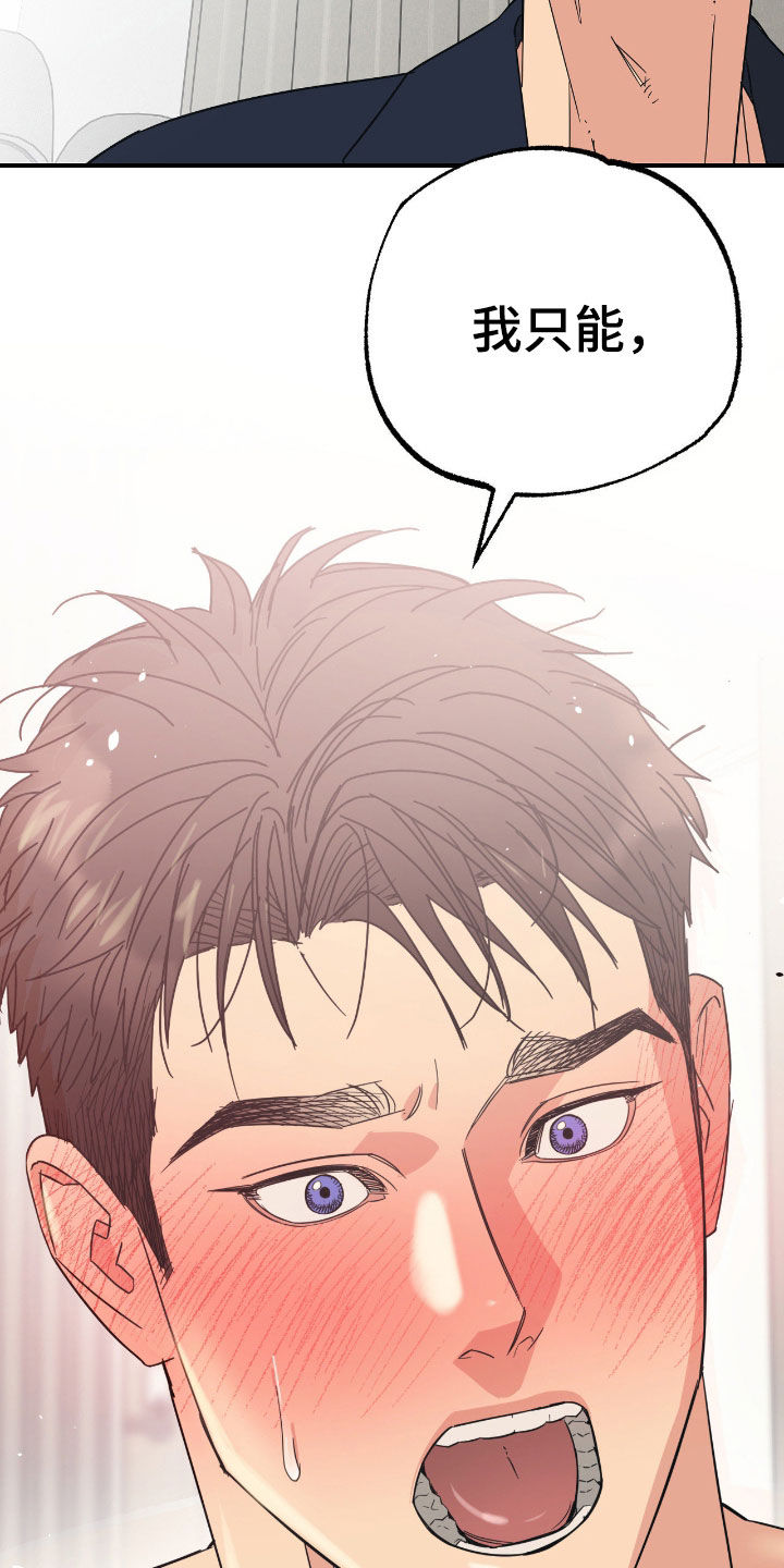猫大爷和我漫画,第17章：希望是你5图