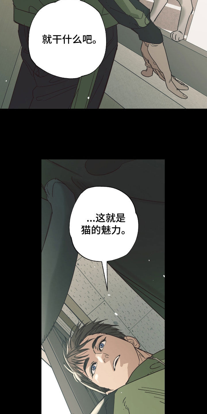 猫大爷和我漫画,第18章：说错话了4图