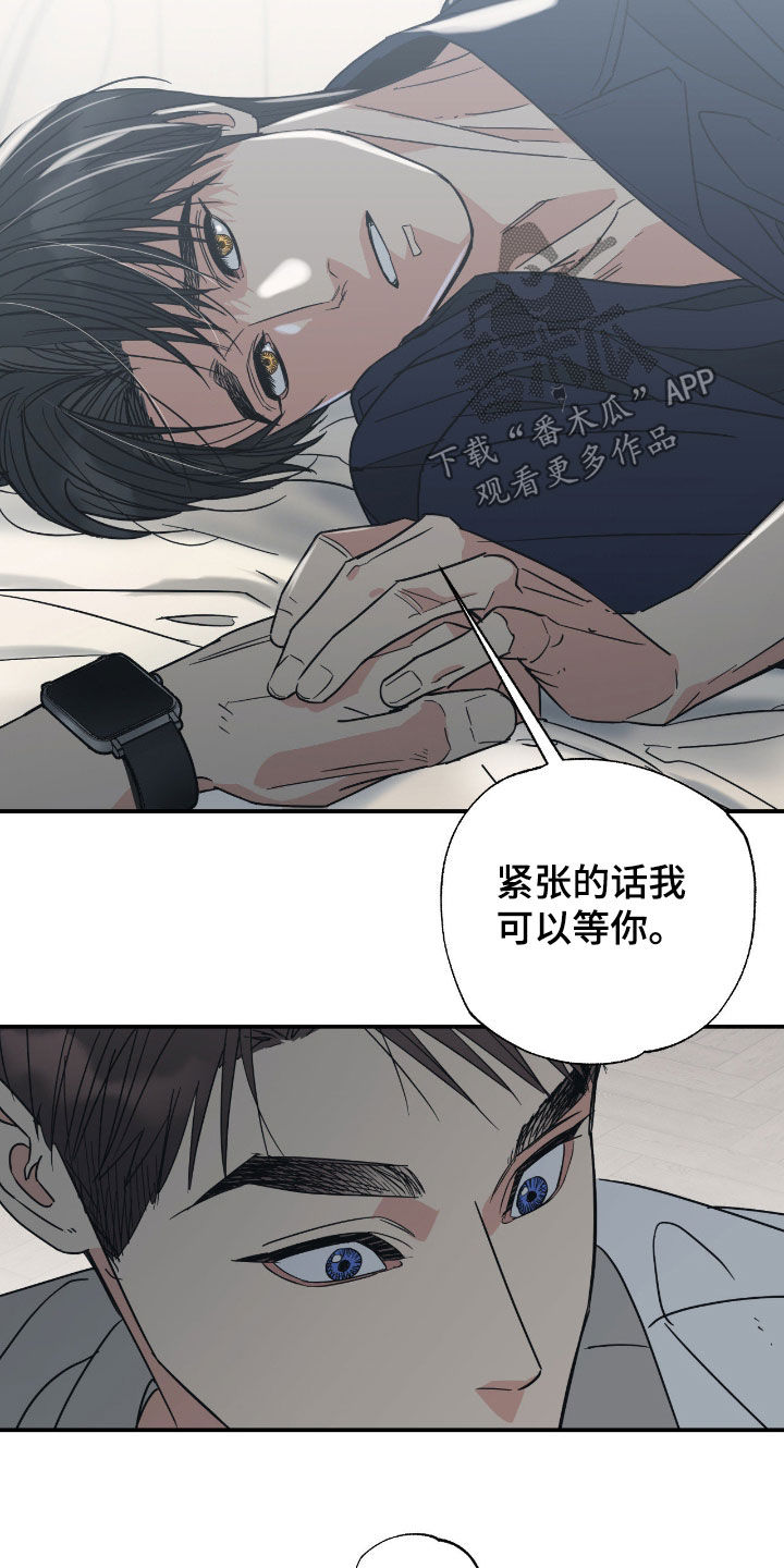 猫大爷和我漫画,第16章：如你所愿1图