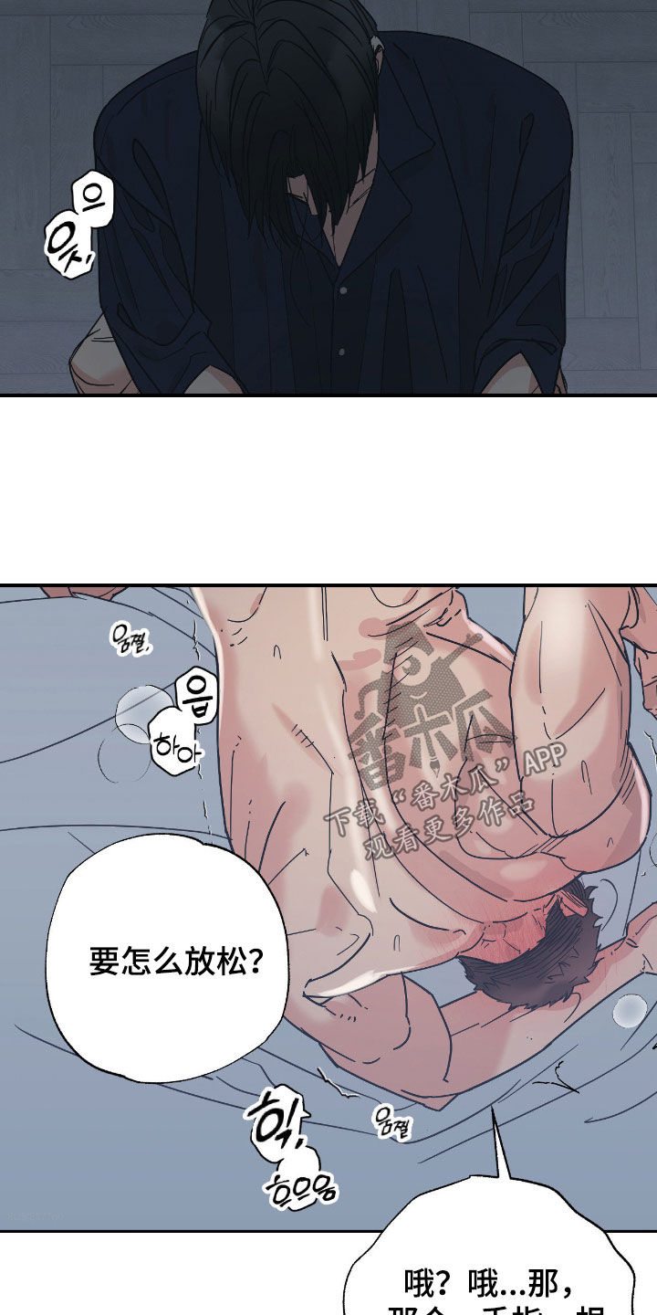 猫大爷和我漫画,第17章：希望是你4图