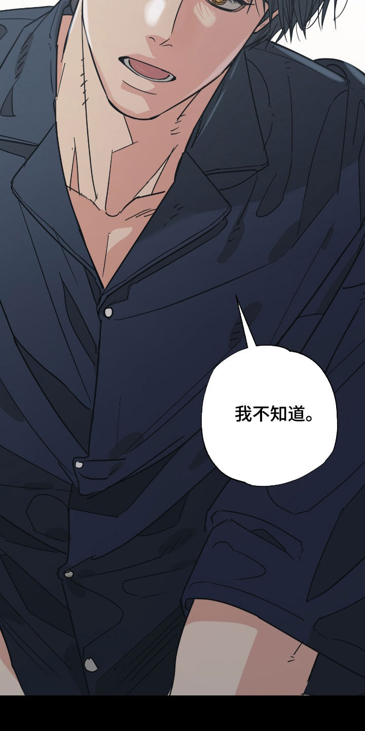 猫大爷和我漫画,第18章：说错话了1图