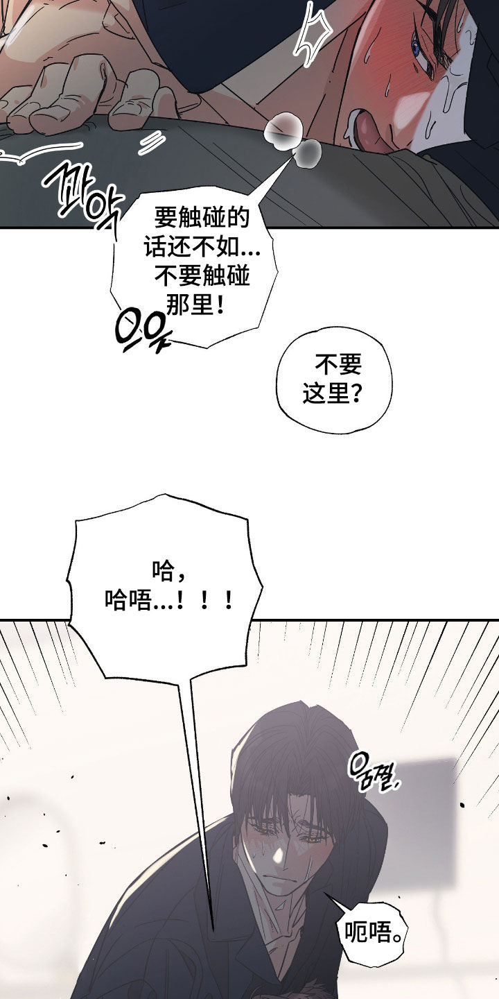猫大爷和我漫画,第17章：希望是你4图
