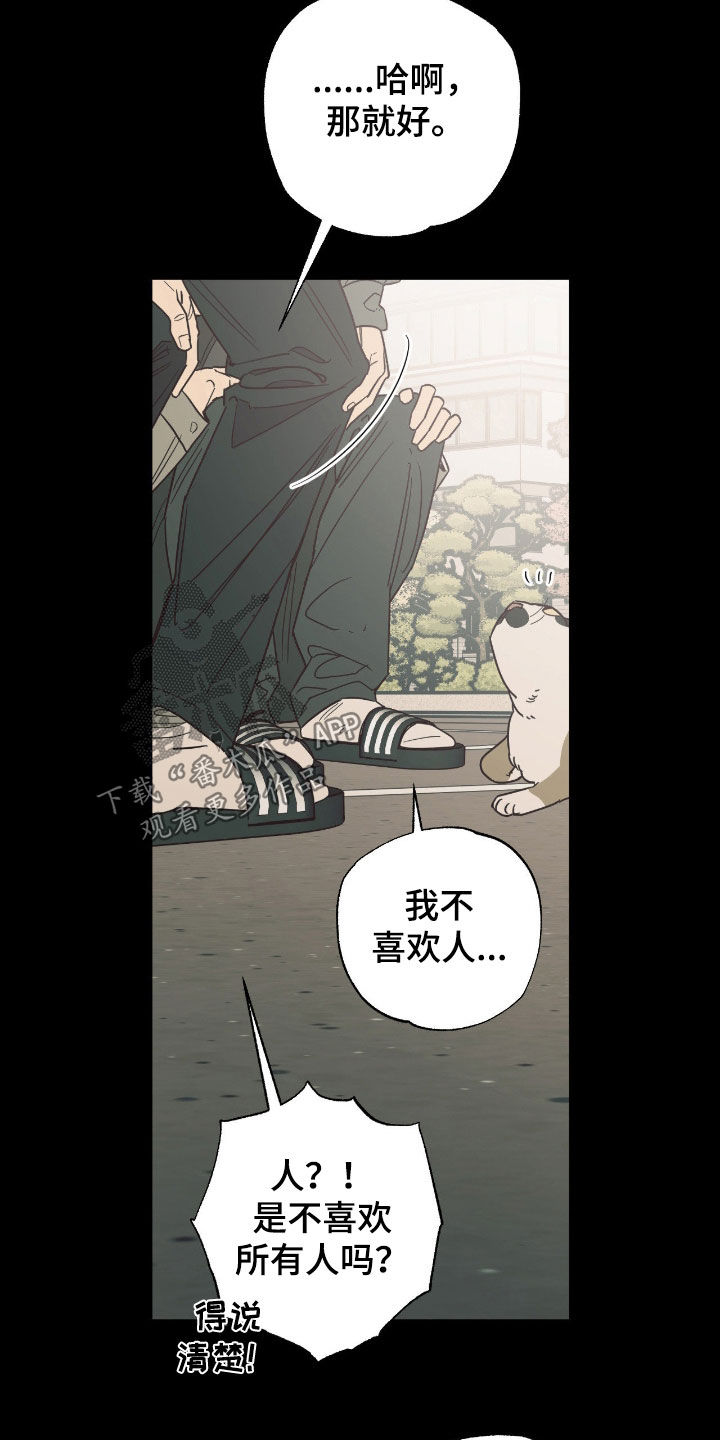 猫大爷和我漫画,第19章：我们慢慢来吧3图