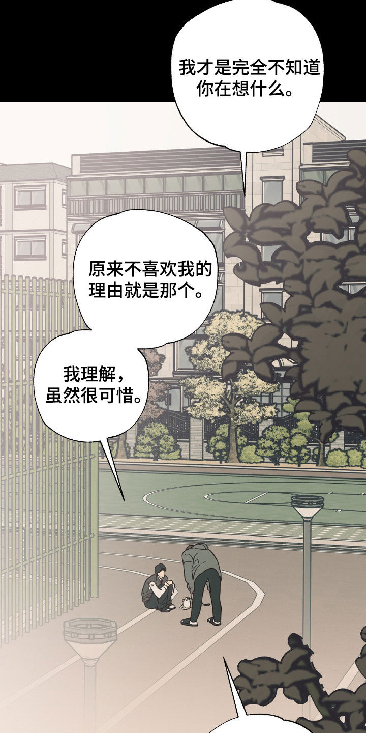 猫大爷和我漫画,第19章：我们慢慢来吧4图