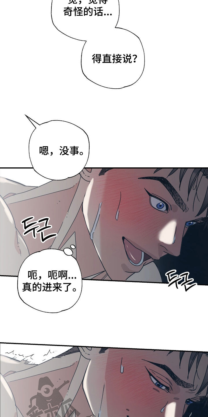 猫大爷和我漫画,第17章：希望是你2图
