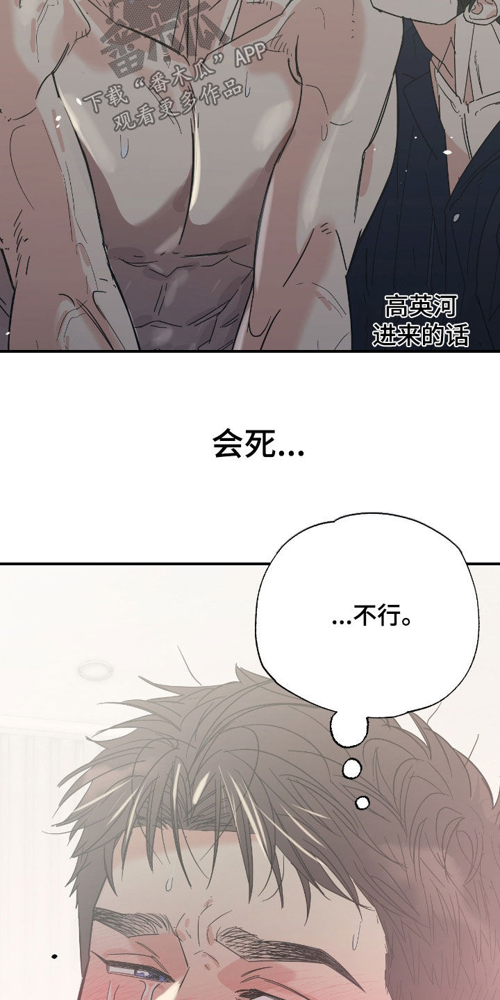 猫大爷和我漫画,第17章：希望是你4图