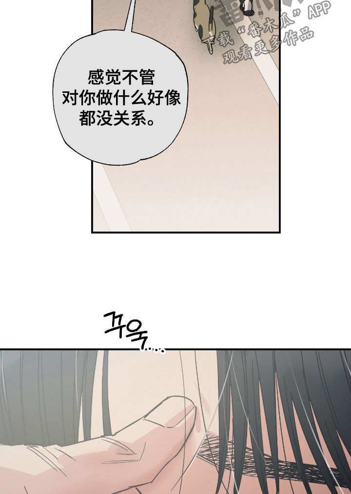 猫大爷和我漫画,第19章：我们慢慢来吧2图