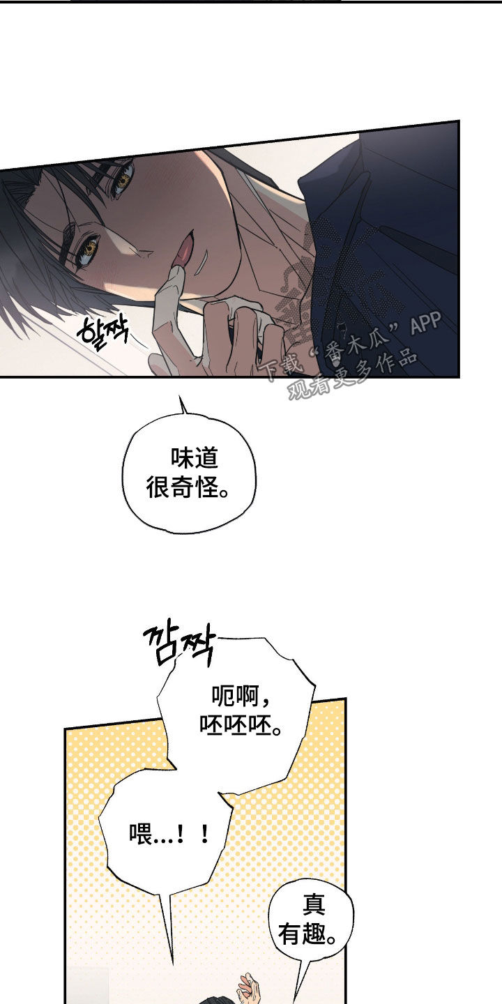 猫大爷和我漫画,第17章：希望是你5图