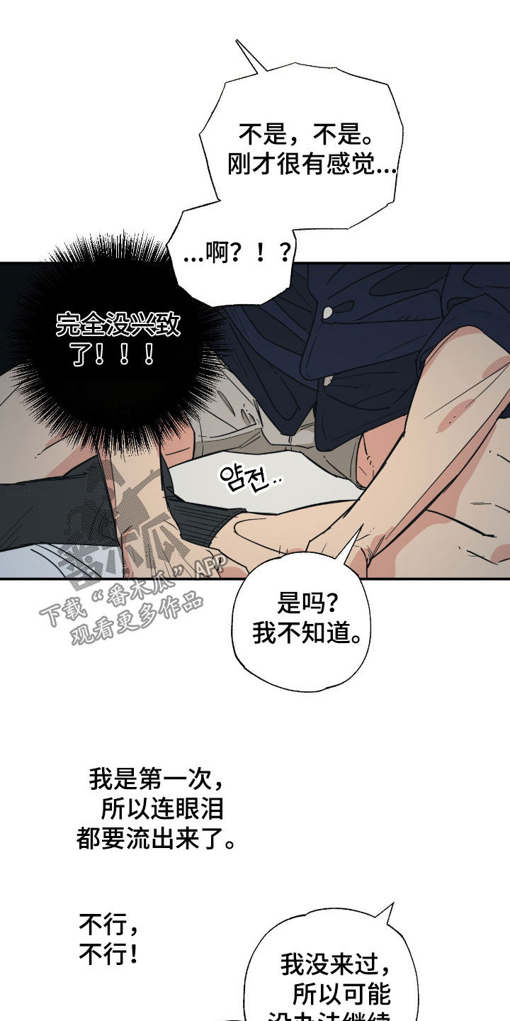 猫大爷和我漫画,第17章：希望是你3图