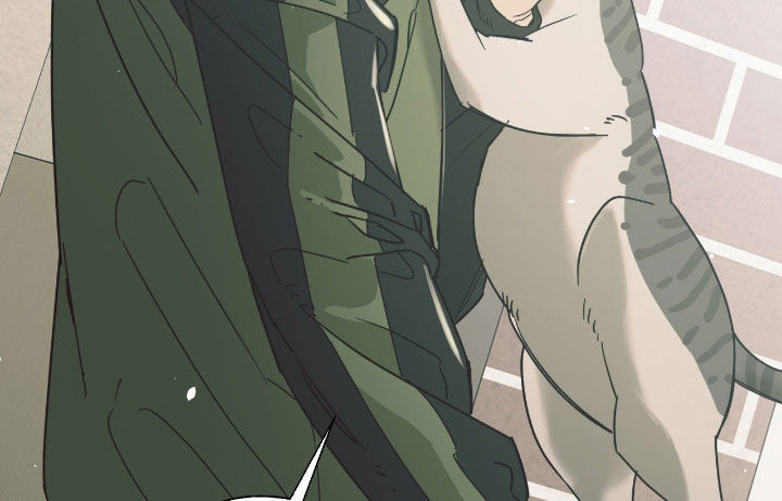 猫大爷和我漫画,第18章：说错话了3图