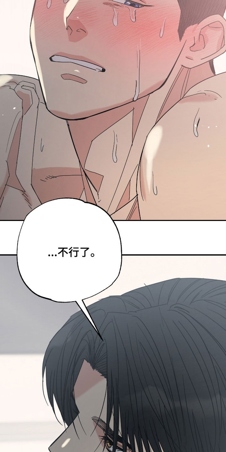猫大爷和我漫画,第17章：希望是你5图
