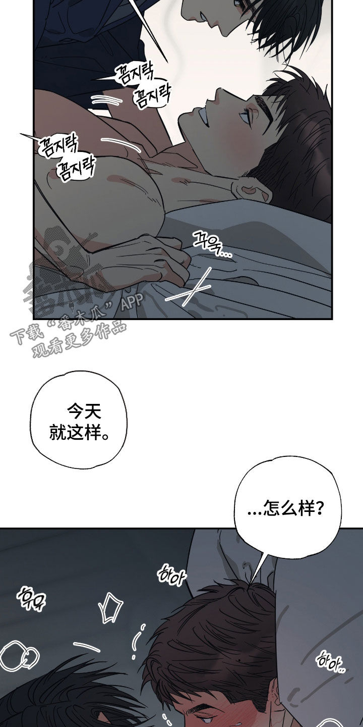 猫大爷和我漫画,第19章：我们慢慢来吧4图