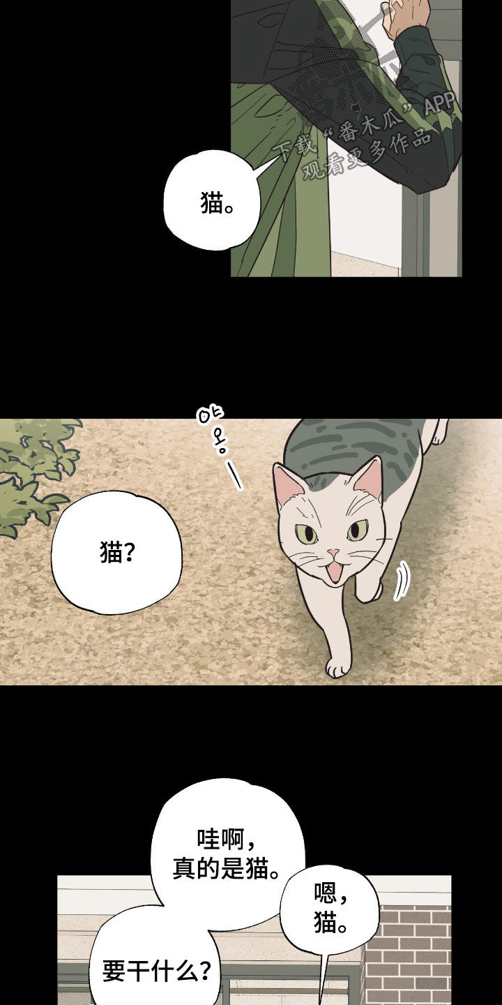 猫大爷和我漫画,第18章：说错话了4图