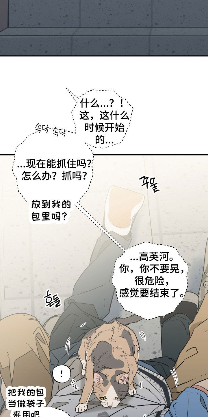 猫大爷和我漫画,第15章：下定决心1图