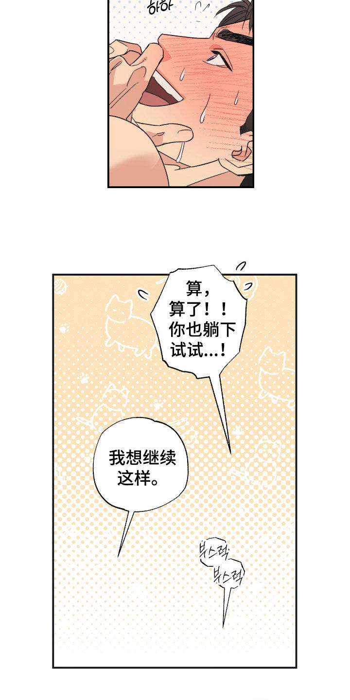 猫大爷和我漫画,第17章：希望是你4图