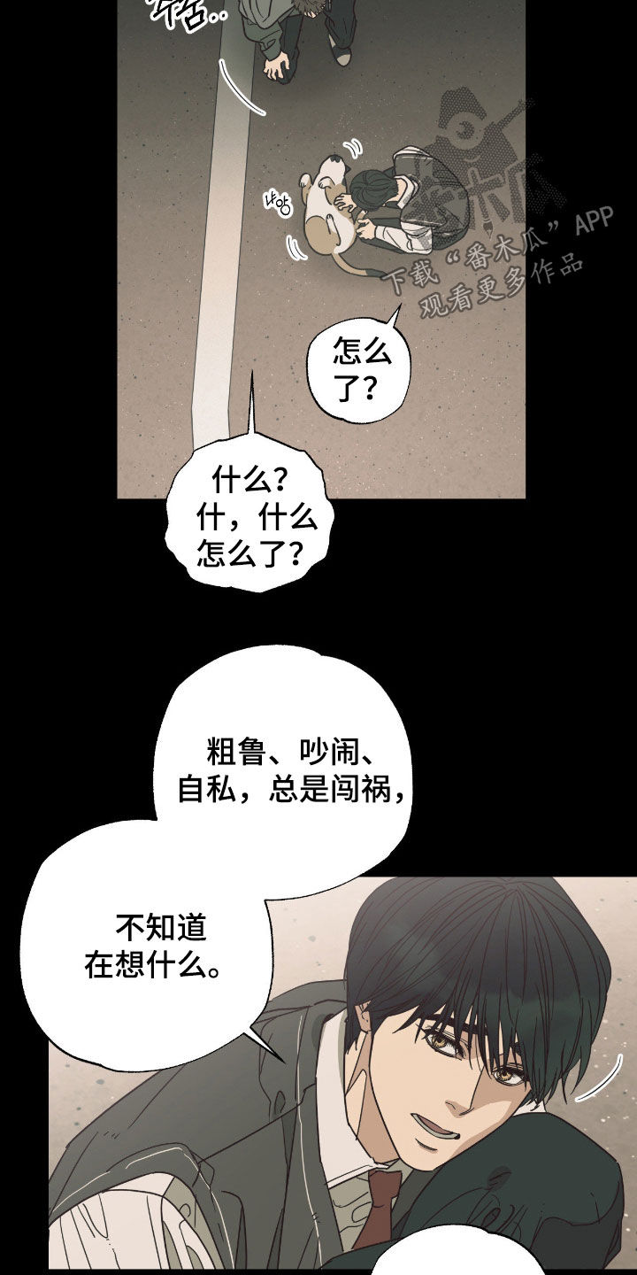 猫大爷和我漫画,第18章：说错话了3图