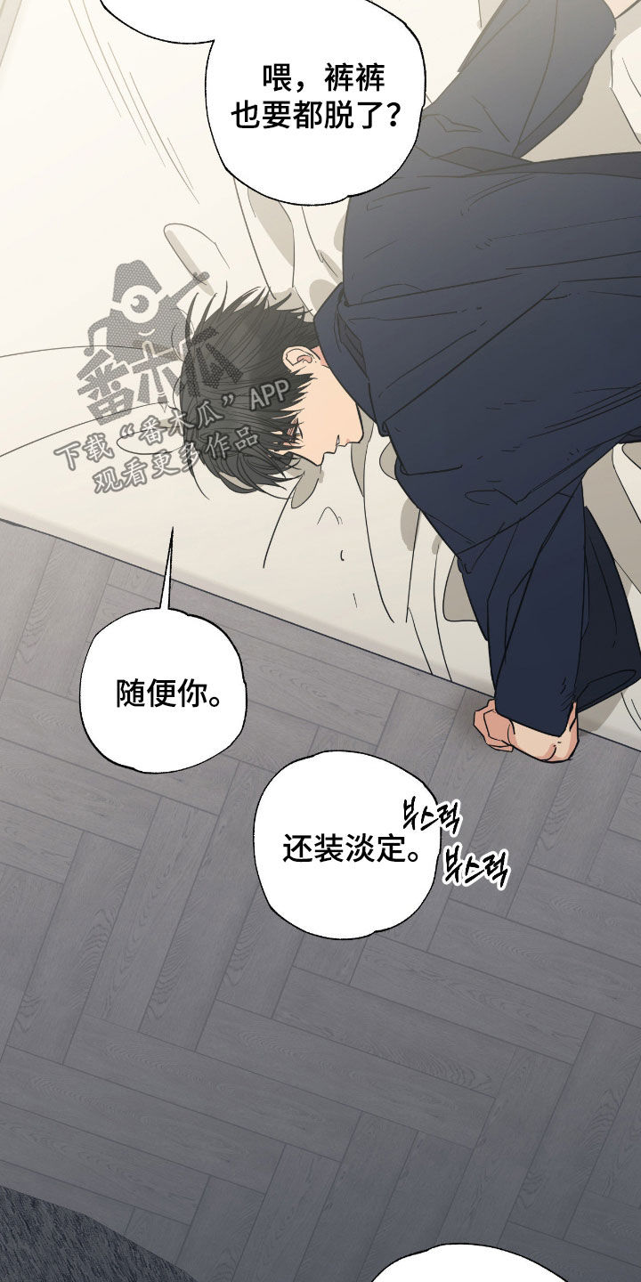 猫大爷和我漫画,第16章：如你所愿4图