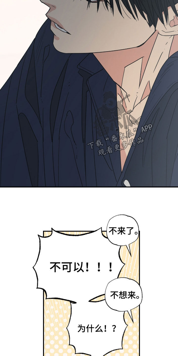 猫大爷和我漫画,第17章：希望是你1图