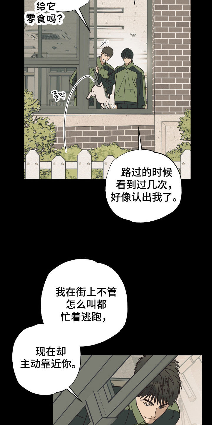 猫大爷和我漫画,第18章：说错话了5图