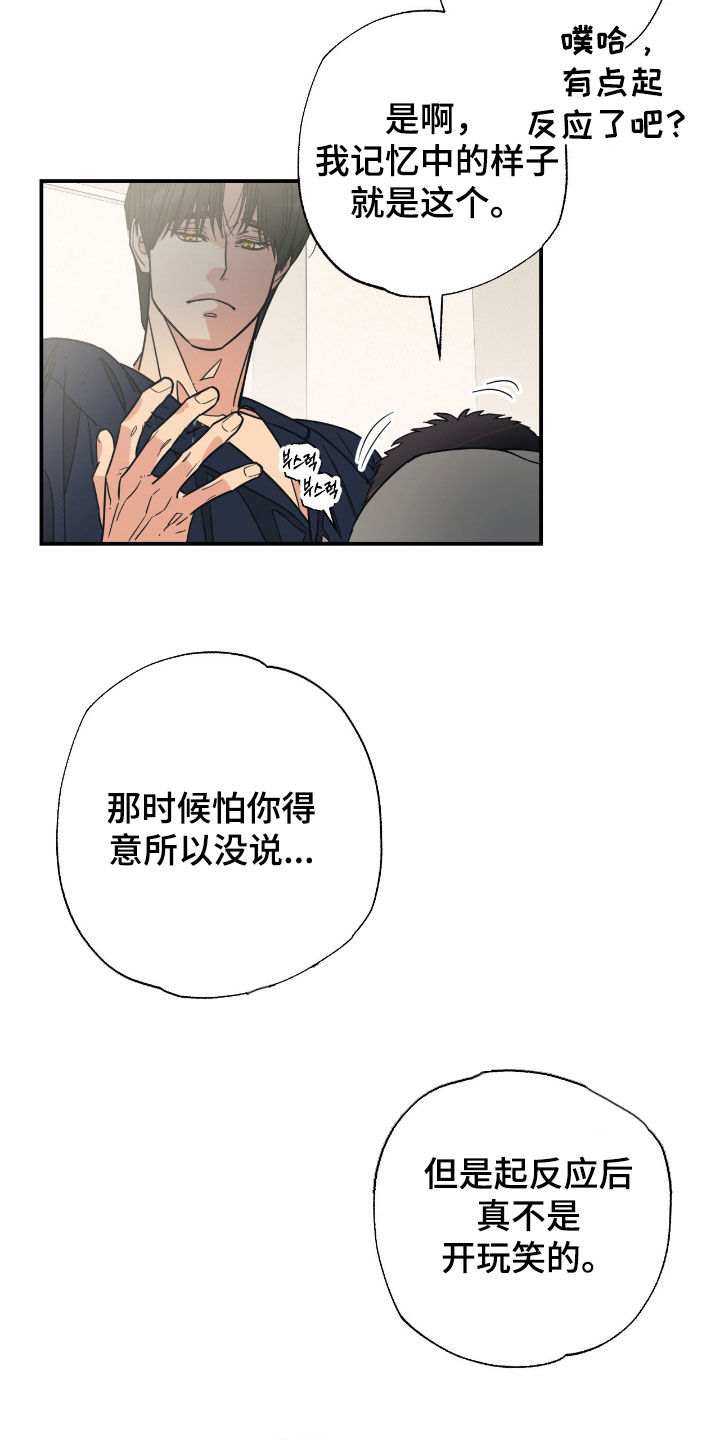 猫大爷和我漫画,第17章：希望是你1图