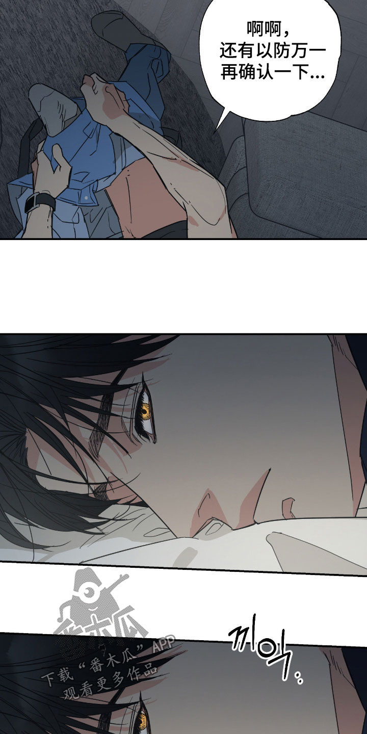 猫大爷和我漫画,第16章：如你所愿5图