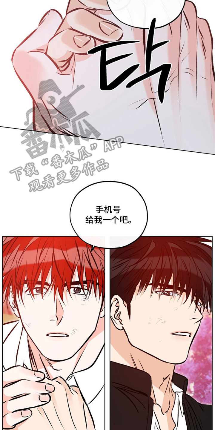 心动伪装漫画,第10章：打架5图